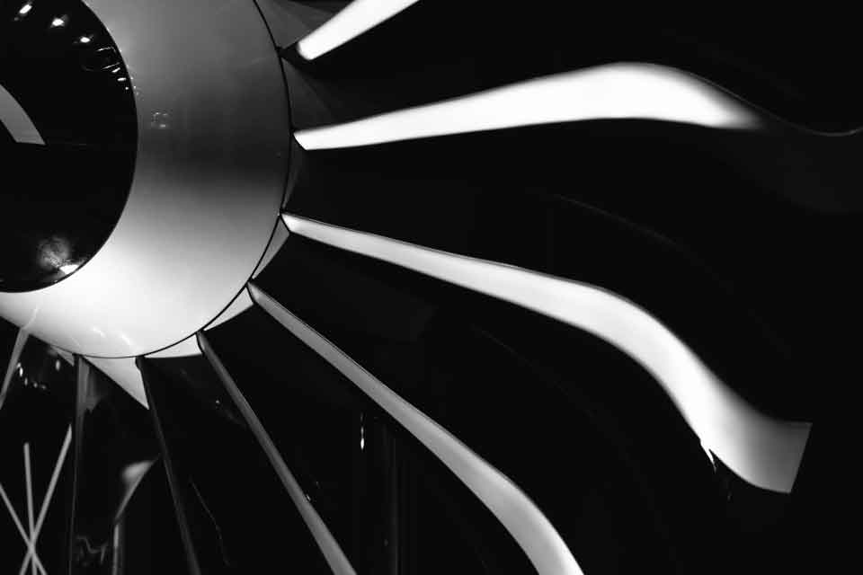 Fan blades of a turbofan engine